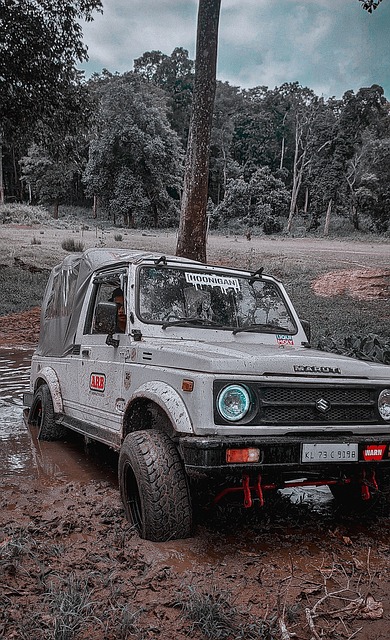 猛龙队在这 猛龙队在这