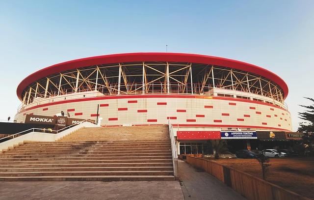 队的默契 队的默契