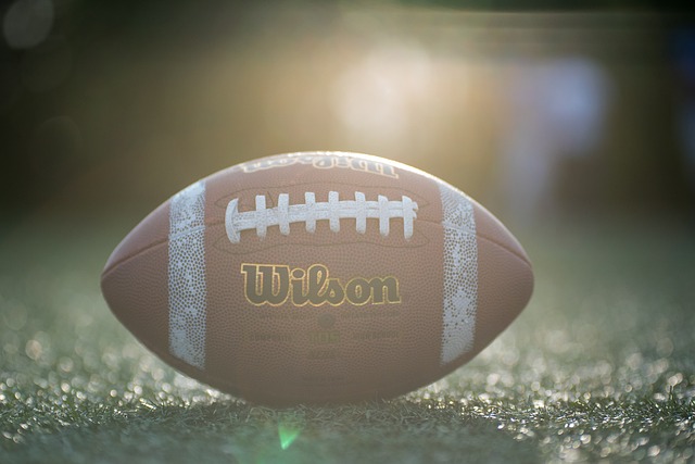 能迅速融入 能迅速融入