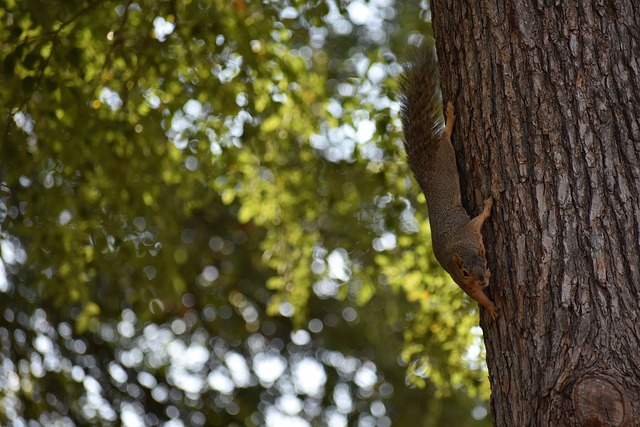 他踢出的點 他踢出的點