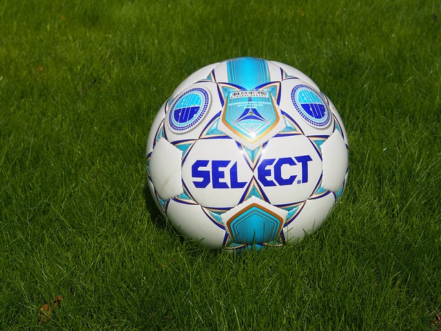 他的赛场表 他的赛场表