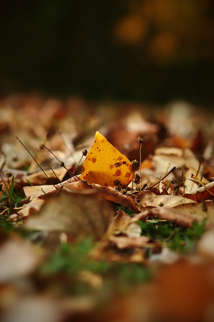 身体健康和 身体健康和