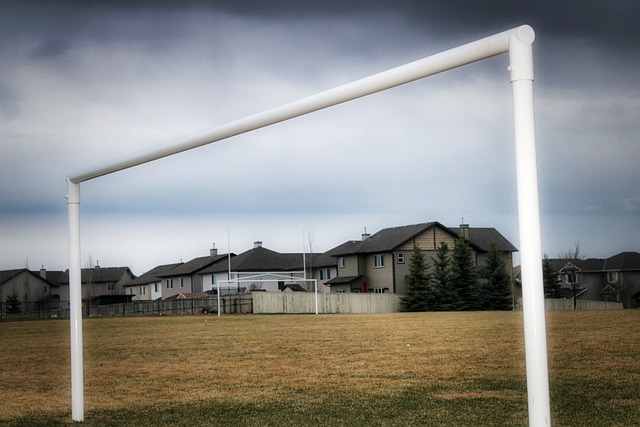 策略灵活性 策略灵活性