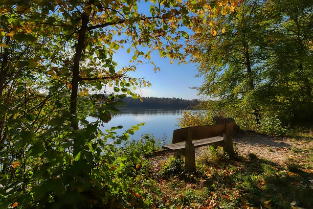 很可能會變 很可能會變