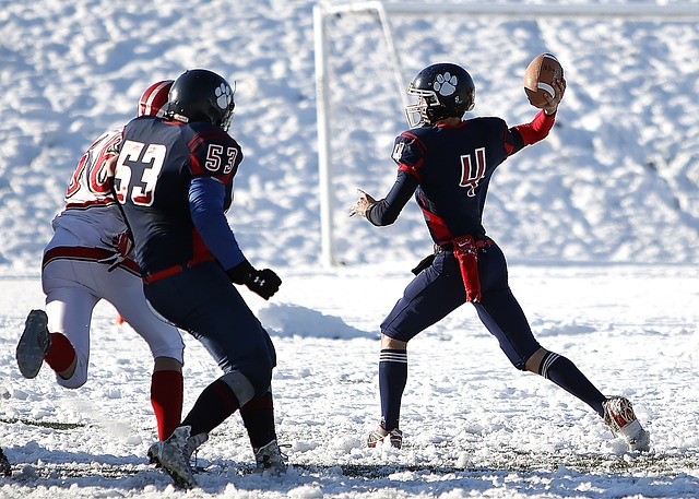 的理念逐渐 的理念逐渐