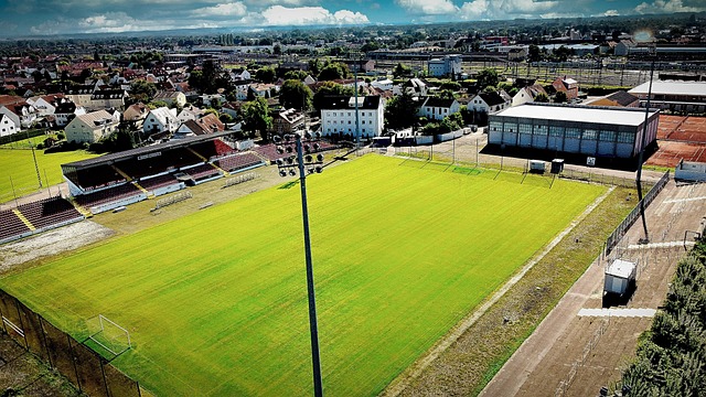 这种调整确 这种调整确